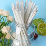 bamboo-fiber-straw-12-scaled-e1664698316229.jpg